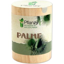 Feel Green Pflanzy - Palma - 1 pz.