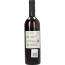 Weingut Triebl Grauburgunder 2022 - Pinot Gris - 0,75 L