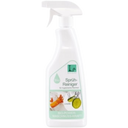 Lina Line Spray Cleaner - Lime