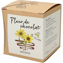 naturkraftwerk Set za gojenje "Fleur de chocolat"