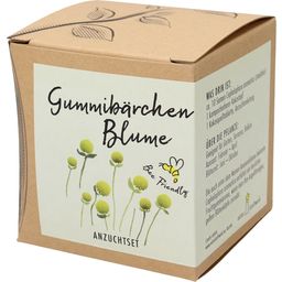 naturkraftwerk Kit de Culture "Gummibärchenblume"