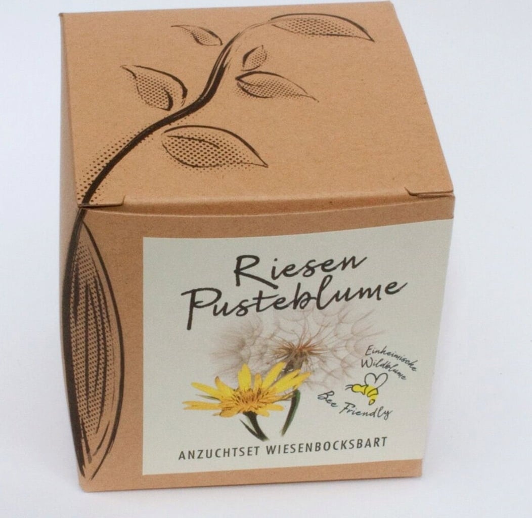 naturkraftwerk Kit de Culture de Pissenlit Géant - 1 pcs