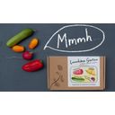 Assortiment de Graines de Légumes Lunchbox Garden - 1 kit