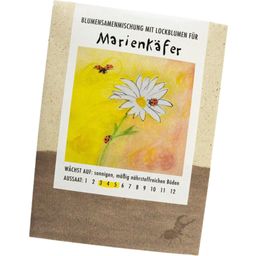 naturkraftwerk Mix with Flowers for Ladybugs