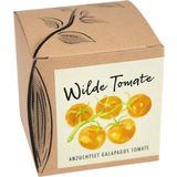 Zestaw do uprawy „żółty pomidor koktajlowy”