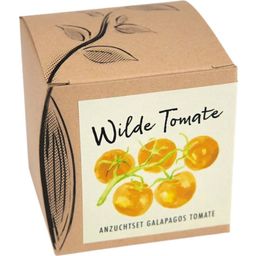 naturkraftwerk Anzuchtset "Wilde Tomate"