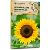 Samen Maier Organic "Henry Wilde" Sunflowers