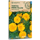 Samen Maier Biologische Tagetes "Primo Yellow