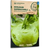 Samen Maier Bio Kohlrabi "Superschmelz"