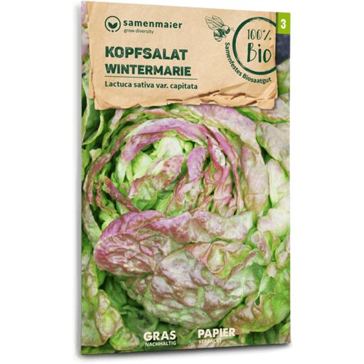 Samen Maier Organic Lettuce 