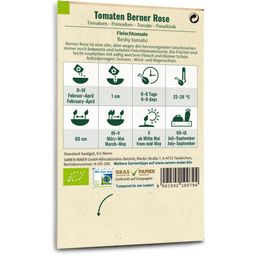Ekološki paradižniki - Berner Rose (mesni paradižnik)