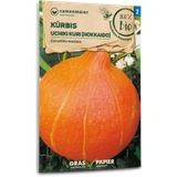 Samen Maier Zucca Uchiki Kuri Bio - Hokkaido