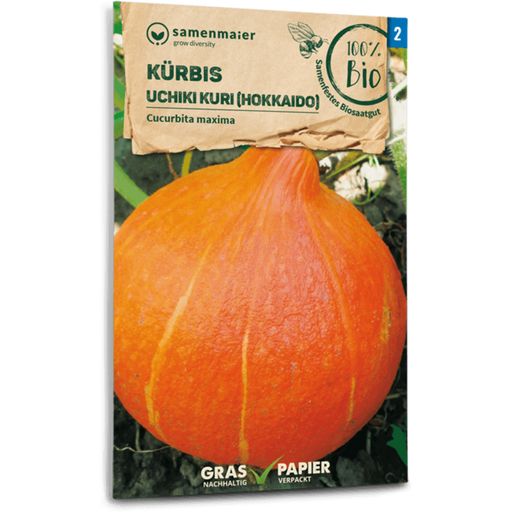 Organic Giant Pumpkin Uchiki Kuri 