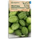Samen Maier Organic Mexican Mini Cucumbers
