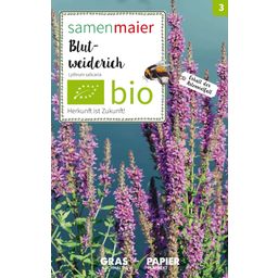 Samen Maier Wildflower Purple Looseleaf - 1 Pkg