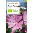 Samen Maier Bio dzikie kwiaty - ślaz zygmarek - 1 Pkg