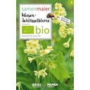 Samen Maier Bio Wildblume Wiesen-Schlüsselblume - 1 Pkg
