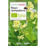 Samen Maier Divji cvet-pomladanski jeglič