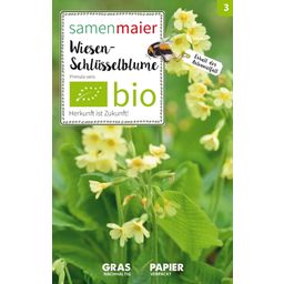 Samen Maier Bio Wildblume Wiesen-Schlüsselblume