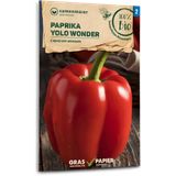 Samen Maier Bio "Yolo Wonder" paprika