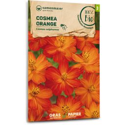 Samen Maier Organic Cosmea - Orange