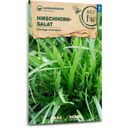 Samen Maier Salade Plantain Corne-de-cerf Bio
