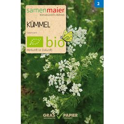 Samen Maier Bio kminek - 1 Pkg