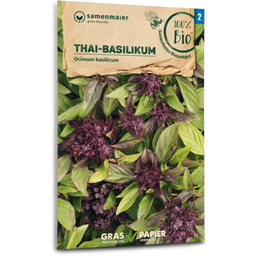 Samen Maier Organic Thai Basil - 1 Pkg