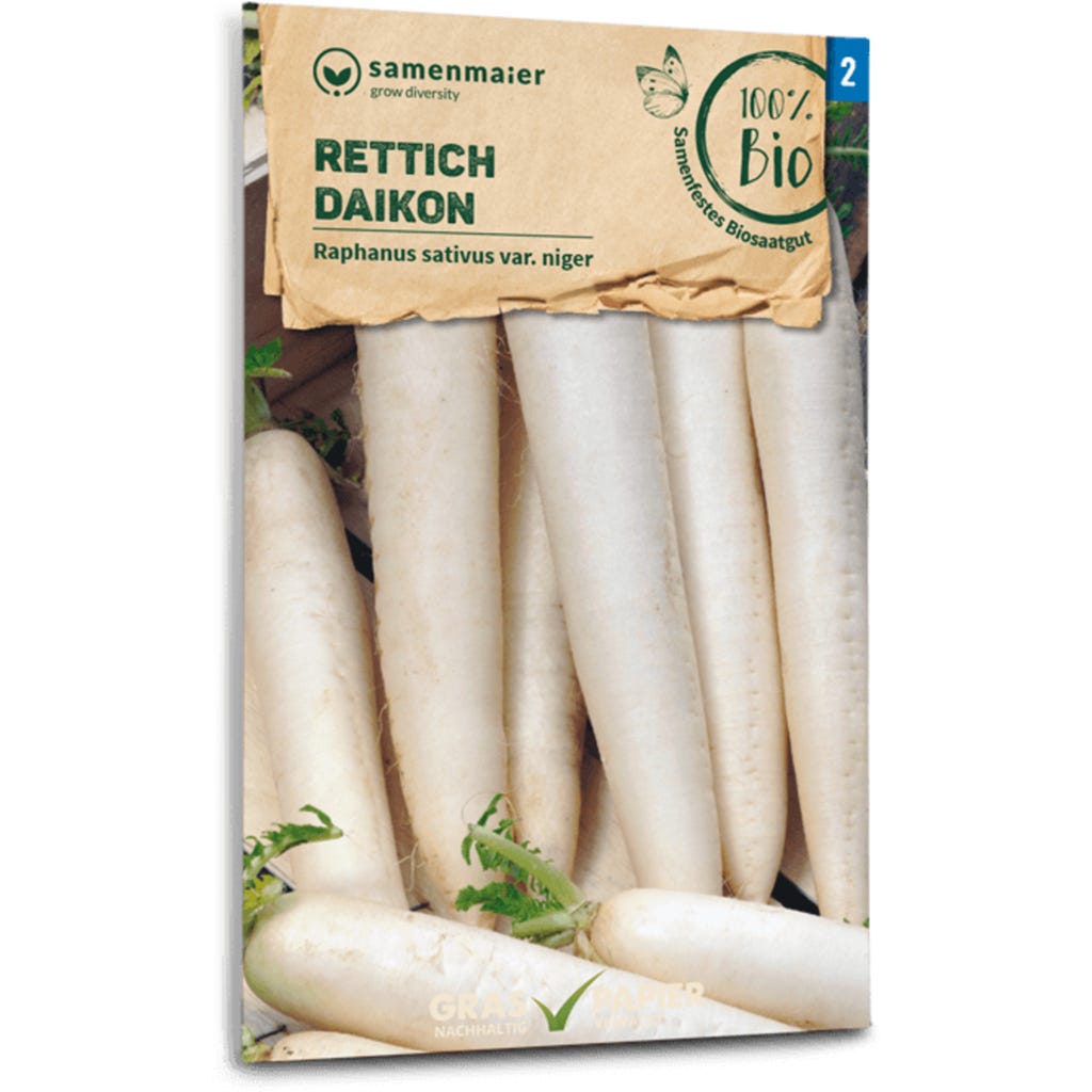 SAFLAX Set Di Semi Biologici – Ravanello Daikon Giapponese – 100 Semi – Raphanus Sativus Con Istruzioni