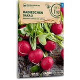 Samen Maier Organic Radish "Saxa 3"