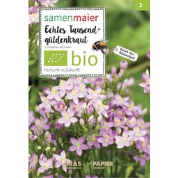 Samen Maier Bio dzikie kwiaty - centuria pospolita - 1 Pkg