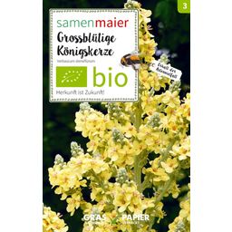 Organic Wildflower Large-Flowered Mullein - 1 Pkg