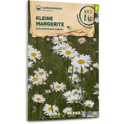 Samen Maier Fleur sauvage - Petite Marguerite Bio