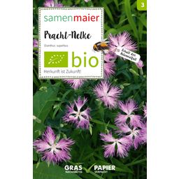 Samen Maier Fleur Sauvage - Œillet Superbe Bio - 1 sachet