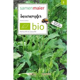 Samen Maier Bio dzikie kwiaty - szczaw zwyczajny - 1 Pkg