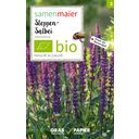 Samen Maier Organic Wildflower Steppe Sage - 1 Pkg