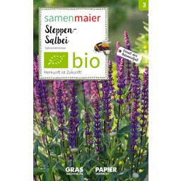 Samen Maier Organic Wildflower Steppe Sage - 1 Pkg
