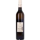 Weingut Pock Vin Rosé 2022 - 0,75 L