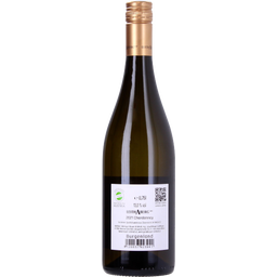 Weingut Bayer - Erbhof Leithaberg DAC Chardonnay 2022 - 0,75 L