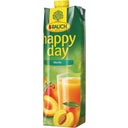 Rauch Happy Day Apricot, Tetra - 1 L