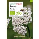 Samen Maier Organic Wildflower Medicinal Valerian - 1 Pkg