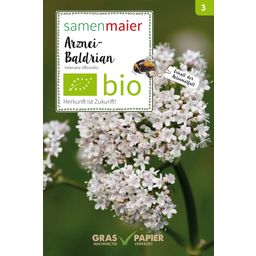 Medicinale Valeriaan van Biologische Wilde Bloemen - 1 Pkg