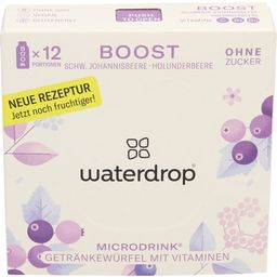 waterdrop Microdrank BOOST - 12 stuks