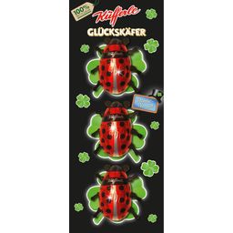 Küfferle Glückskäfer 3er Pack - 57 g