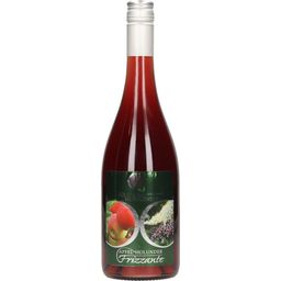 Obsthof Christandl Apple-Elderberry Frizzante - 750 ml