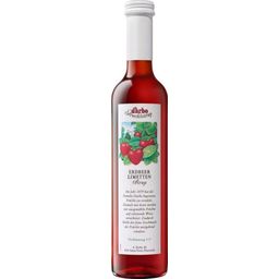 Darbo Strawberry Lime Syrup - 500 ml