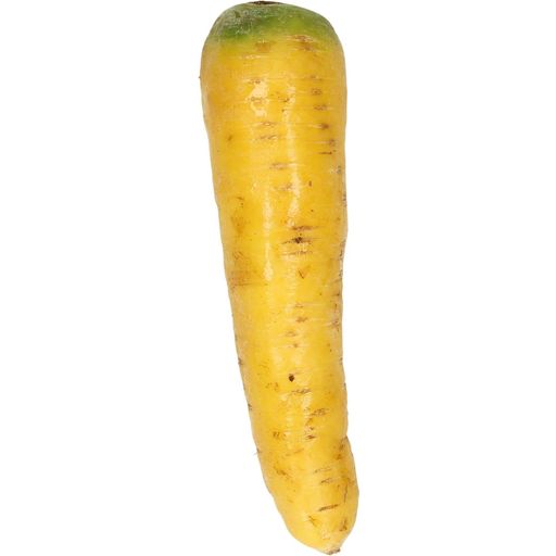 GenussBauernhof Hillebrand Gelbe Karotten