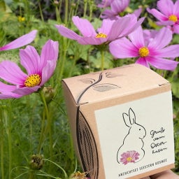 Zestaw do uprawy na prezent, kosmos, 