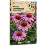 Samen Maier Echinacea Bio