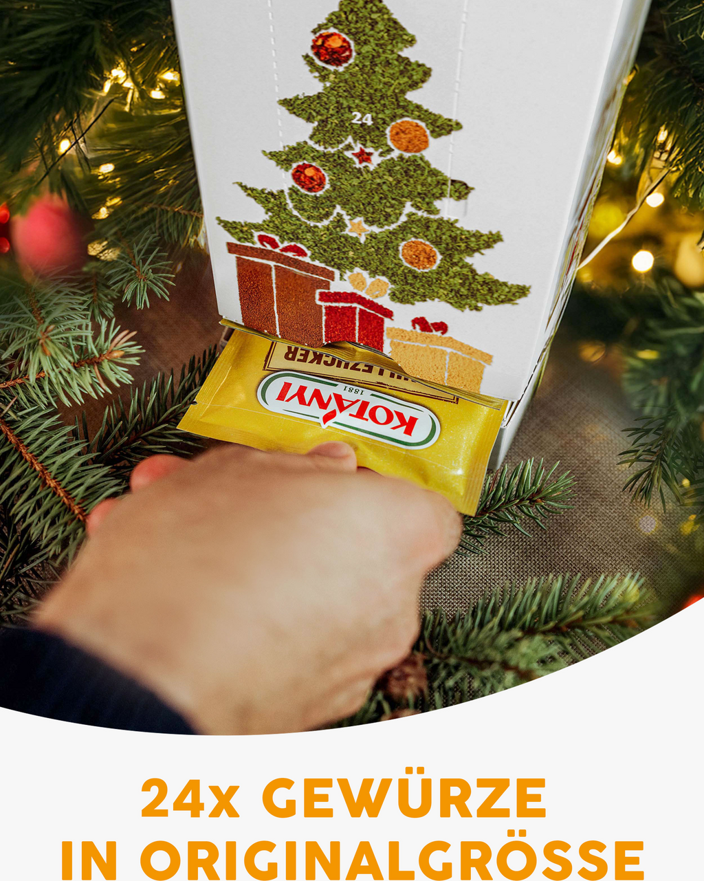 KOTÁNYI Adventkalender 2024 - 1 Stk